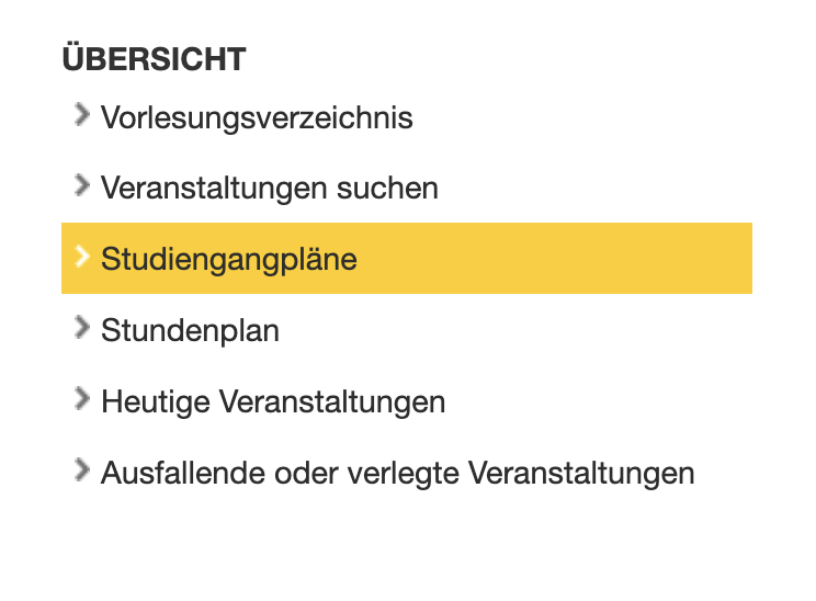 Mein Studiengangplan